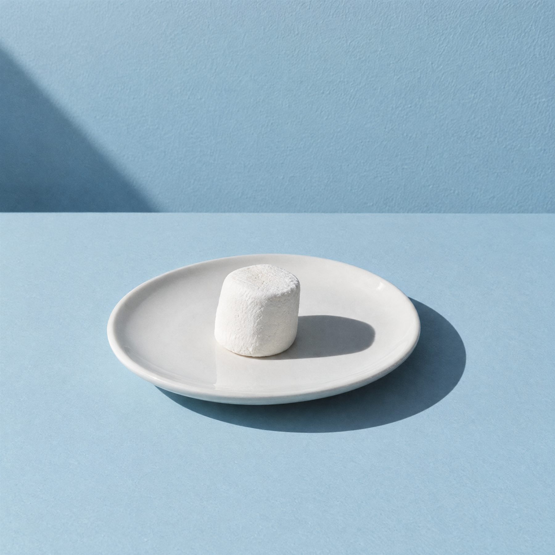 A single marshmallow on a white plate